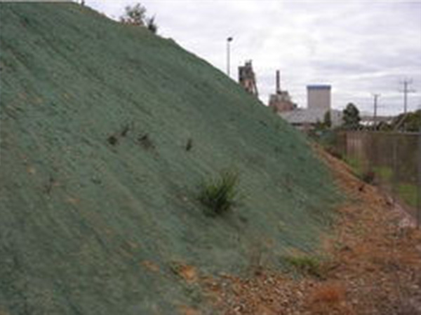 �����ֳ���