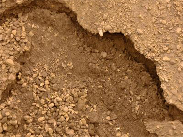 �����ֳ���