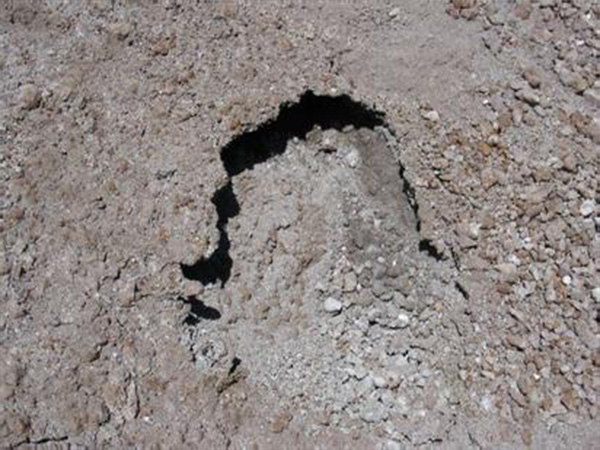 �����ֳ���