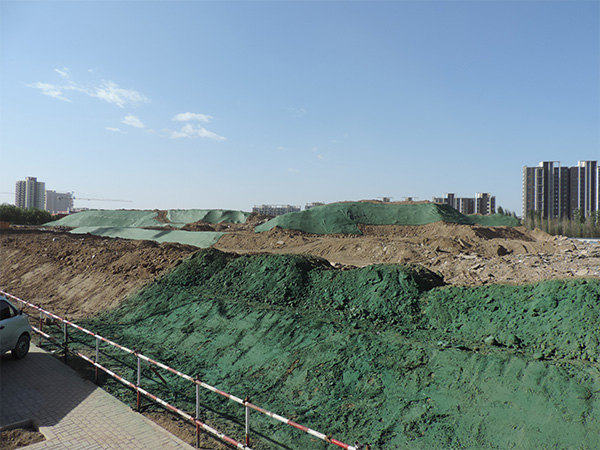 �����ֳ���